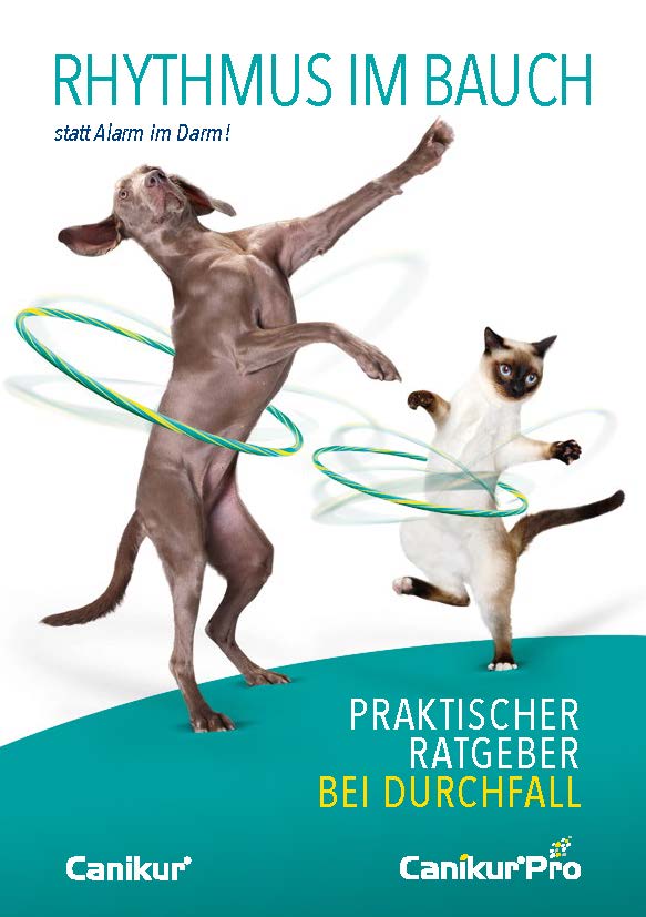 Tierhalter Broschüre "Rhythmus im Bauch"