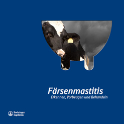 Broschüre zur Färsenmastitis