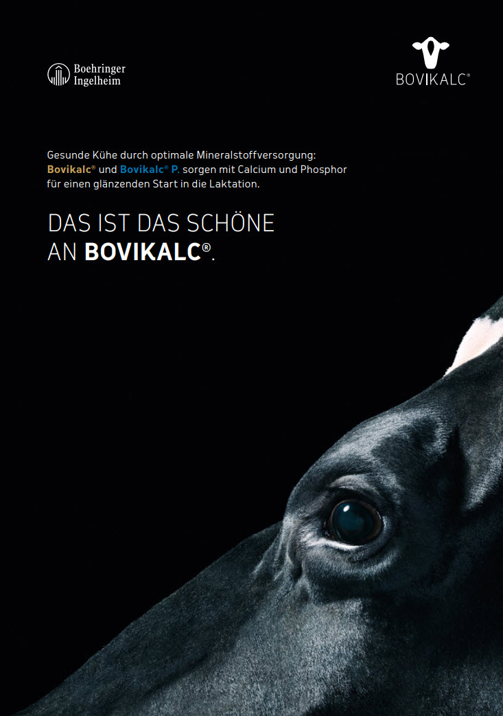 Basisbroschüre "Das ist das Schöne an Bovikalc®"