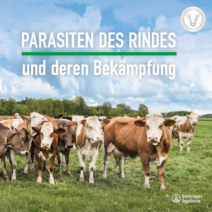 Parasiten des Rindes und deren Bekämpfung