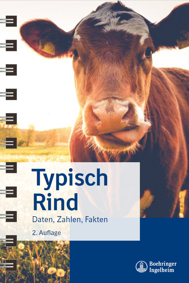 Handbuch Typisch Rind 