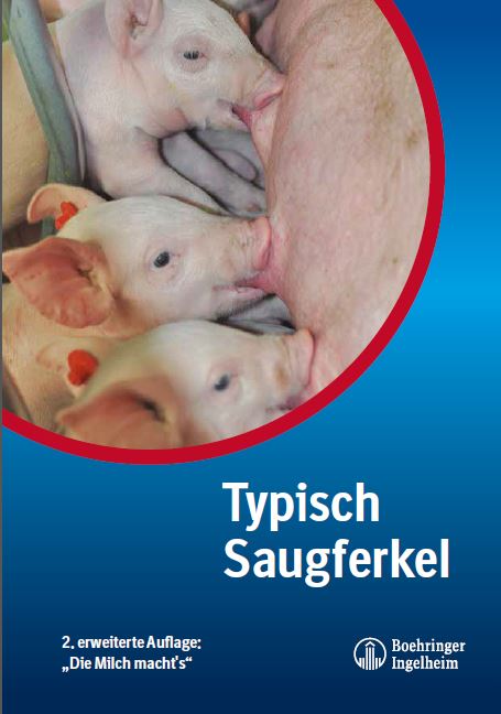 Typisch Saugferkel