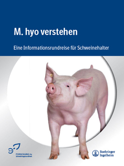 M. hyo verstehen