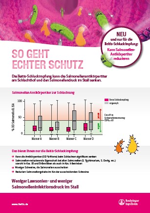 Broschren Schwein Boehringer Ingelheim Vetmedica