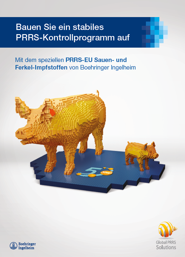 Folder "Kontrollprogramm"