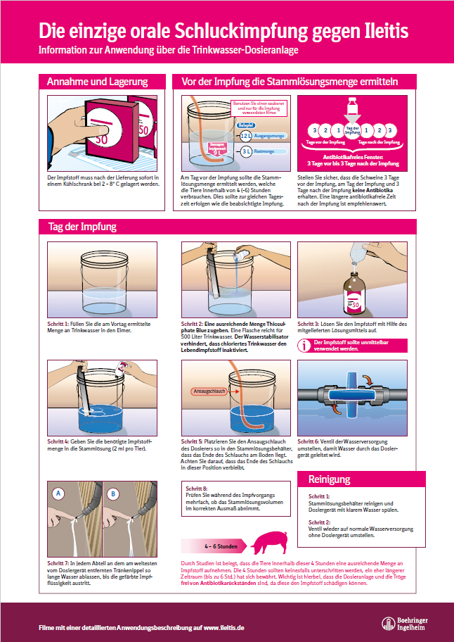 Impfanleitung mit Checkliste