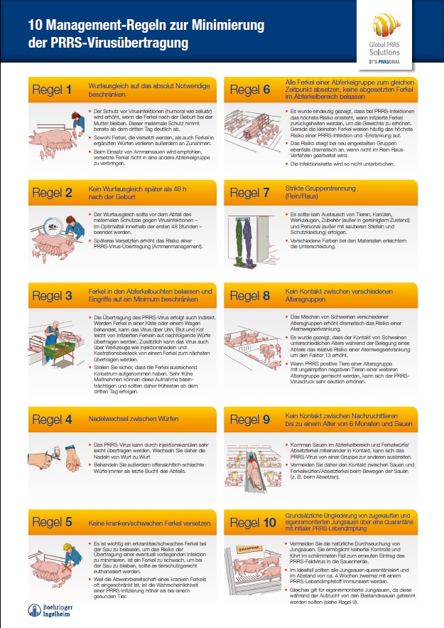 Poster zu „10 Management-Regeln zur Minimierung der PRRS-Virus Übertragung“