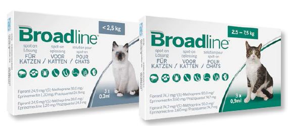 broadline for cats ebay