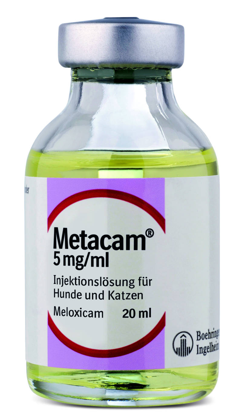 5 mg/ml Injektionslösung Hunde und – Vetmedica