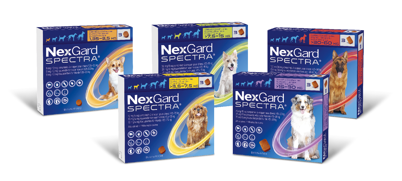 NexGard SPECTRA® – Vetmedica