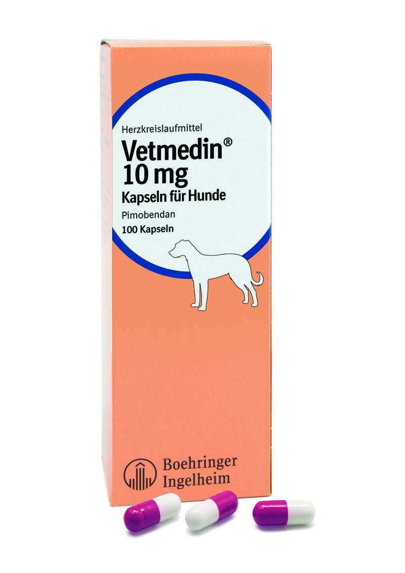 vetmedin hund - DrBeckmann