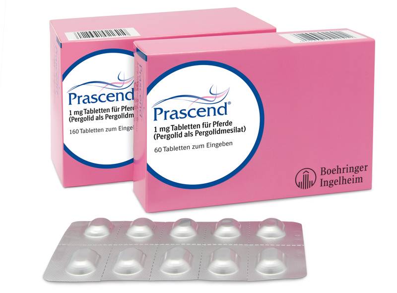 vierte-im-detail-vorbei-kommen-prascend-160-tabletten-b-r-die-geduld