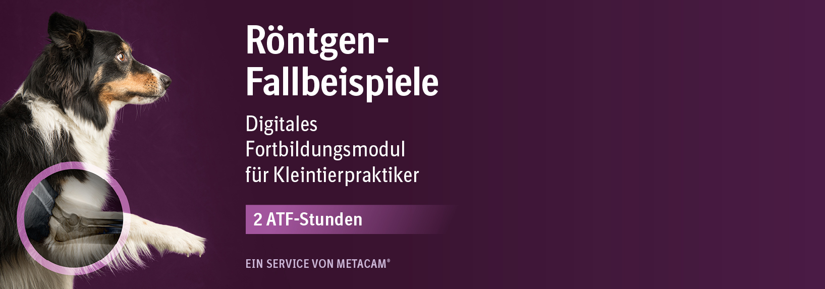 Mein Lila Kalender
