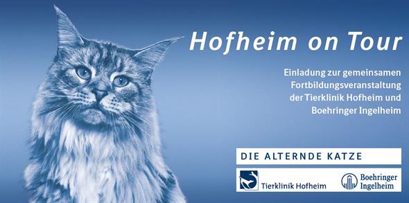 Hofheim on Tour 